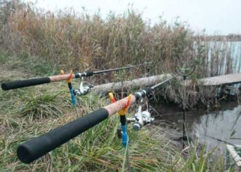 Лов фідером у стоячій воді (озеро, ставок, водосховище)