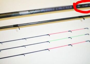 Ловля коропа на фідер