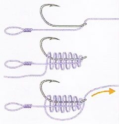 Ловля коропа на бойли