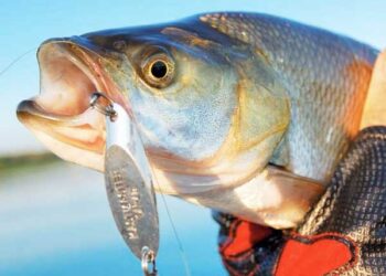 Кастмайстер своїми руками