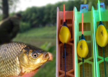 Лов на вудку оснащення з ковзним поплавком