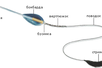 Ловля на бомбарду Сбіруліне