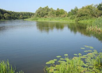 Найкраща погода для риболовлі