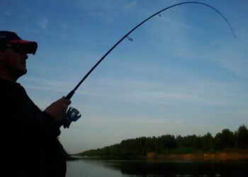 Як вибрати спінінг для лову щуки: на малих і великих річках, новачкові і досвідченому рибалці