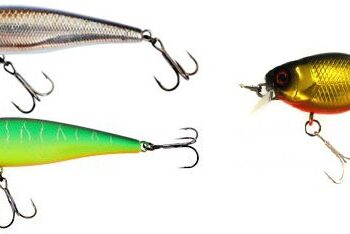 Найкращі воблери для лову щуки. ТОП 20