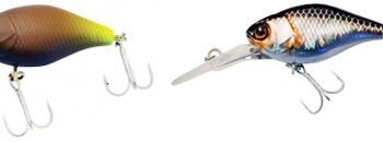 Найкращі воблери на головень. Мій ТОП-10