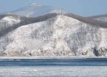Новорічна рибалка