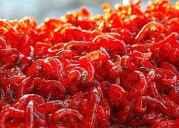 Насадки для зимової риболовлі